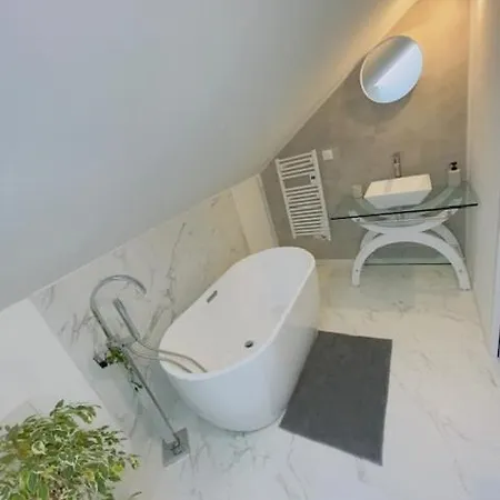 Le Luxury - 8 Voyageurs - Parking Et Wifi 米萨讷